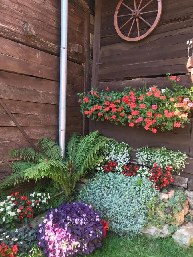 Casa Kelemen Iren Hotel Риметеа Екстериор снимка